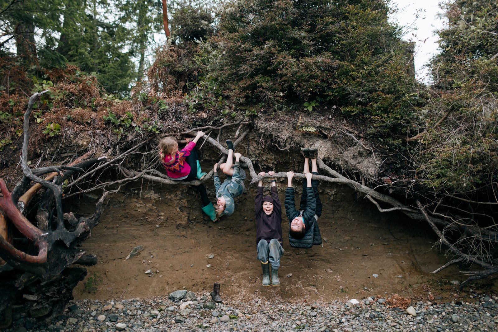 Children Climbing and Playing on Tree Roots